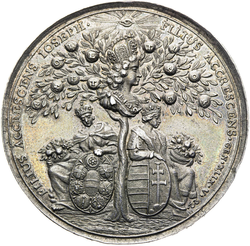 Stříbrná medaile (1690) - revers