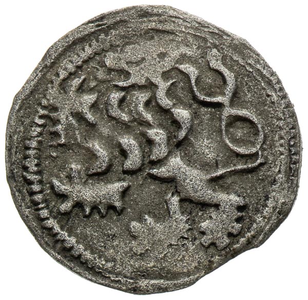 Peníz se lvem v perlovci - avers