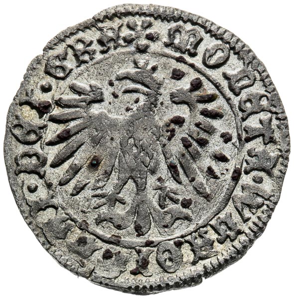 Denar (1443-1444) - back