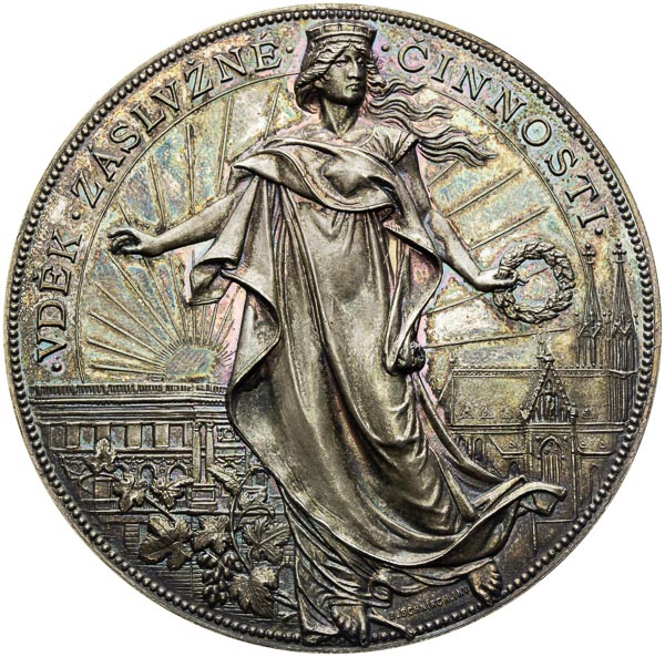 Silver medal 1895 - front
