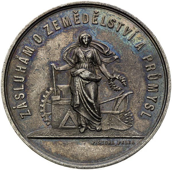 Silver medal 1893 - front