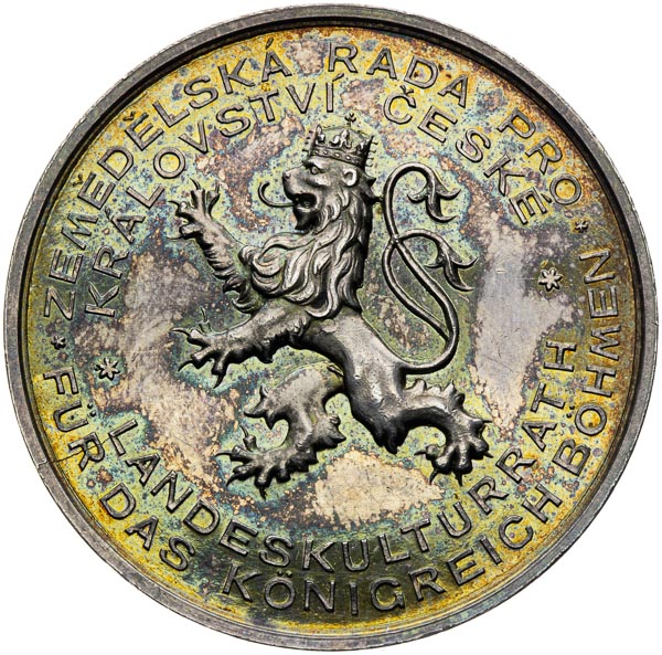 Silver medal 1894 - front