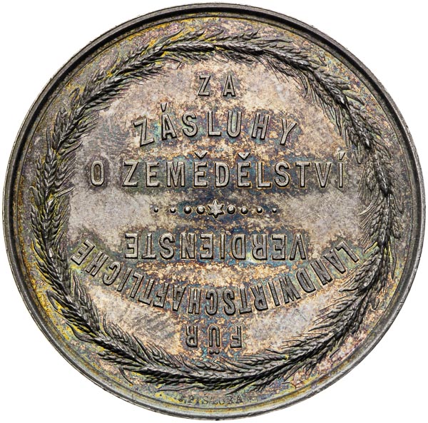 Silver medal 1894 - back