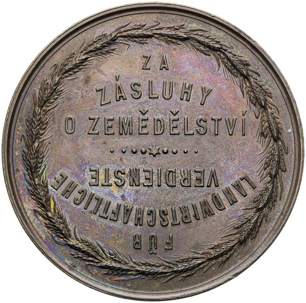 Medal  - back