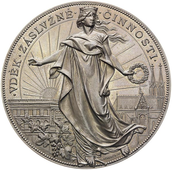 Medal 1895 - front