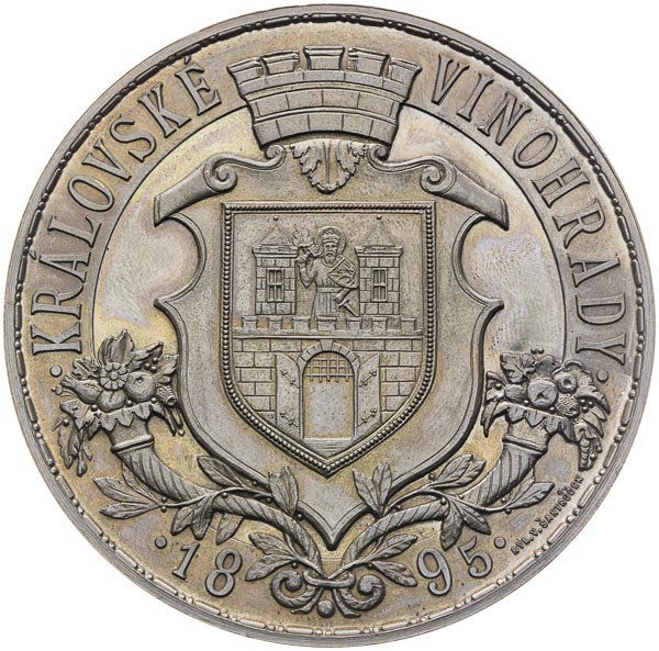 Medal 1895 - back