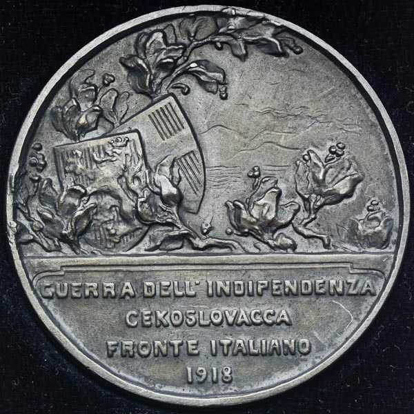 Silver medal 1918 - back
