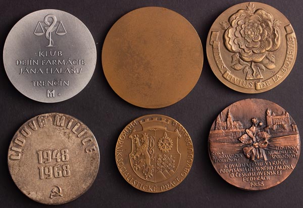 Medal (6 pcs) - back