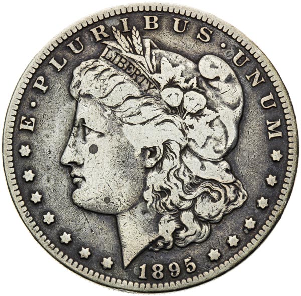 Morgan Dollar 1895 S - front