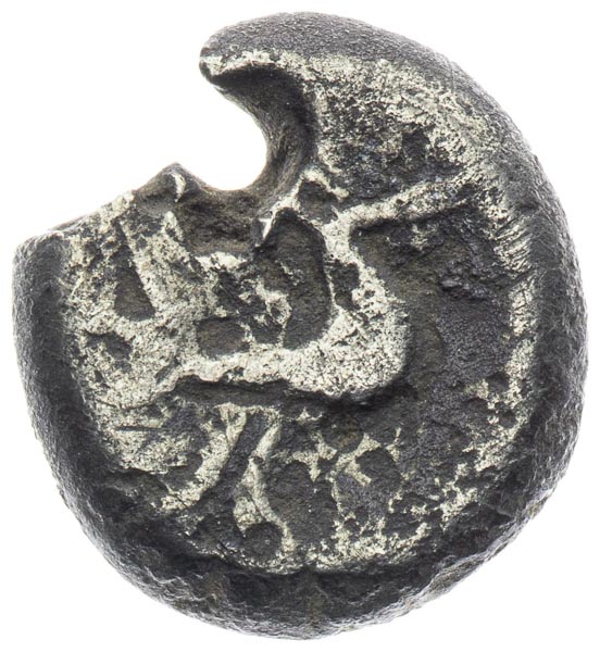 Drachm - back