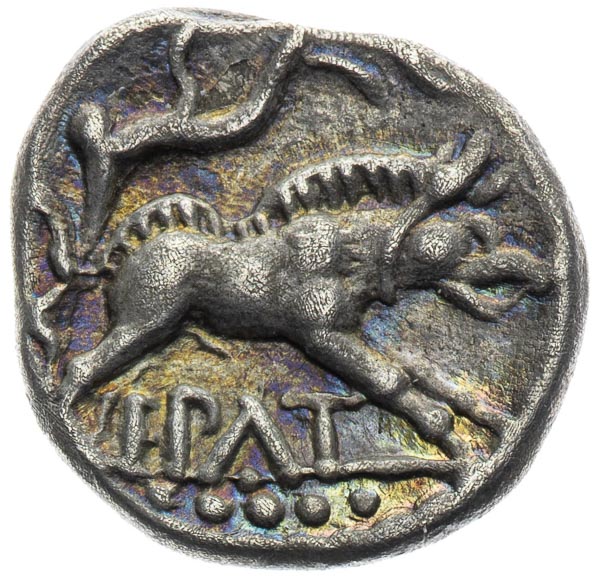 Drachm - back