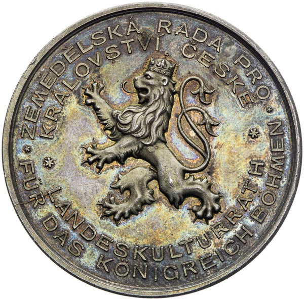 Silver medal  - front