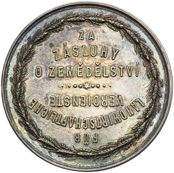 Silver medal  - back