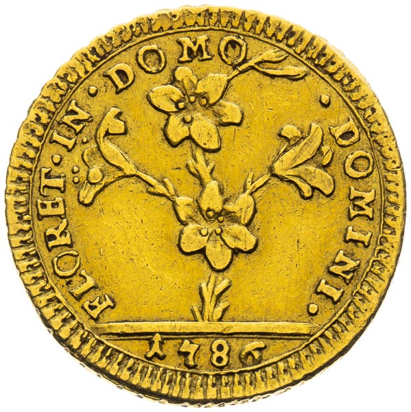 30 Paolu, Doppia D'oro 1786 - back
