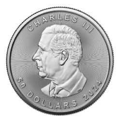 Investment Platinum Maple Leaf - 1 ounce - back