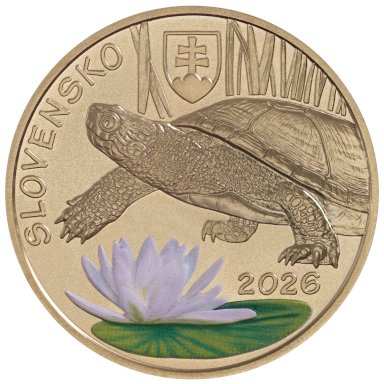 5 Eur 2026 - Turtle - front