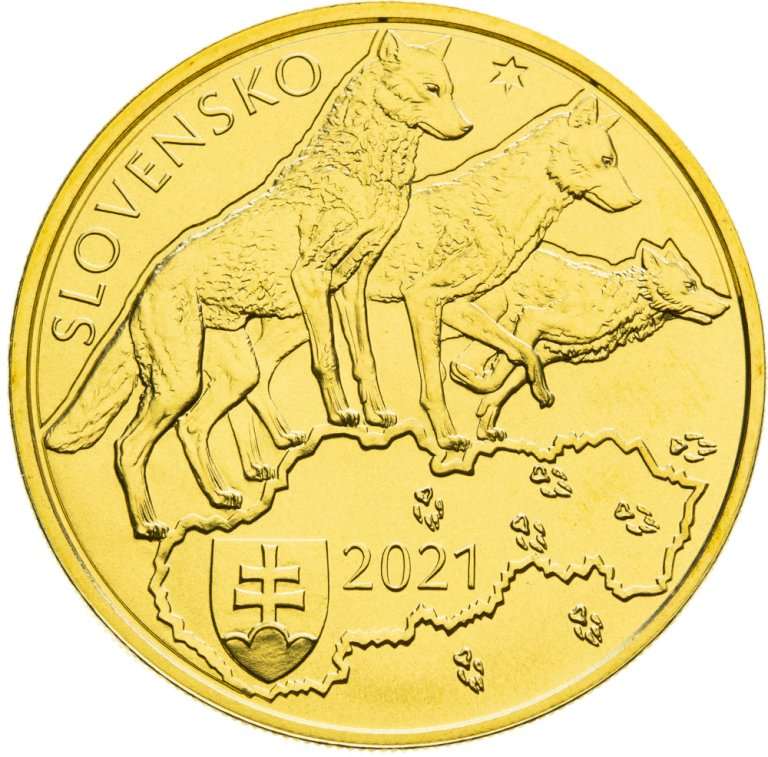 5 Eur 2021 -  Vlk Dravý (2)