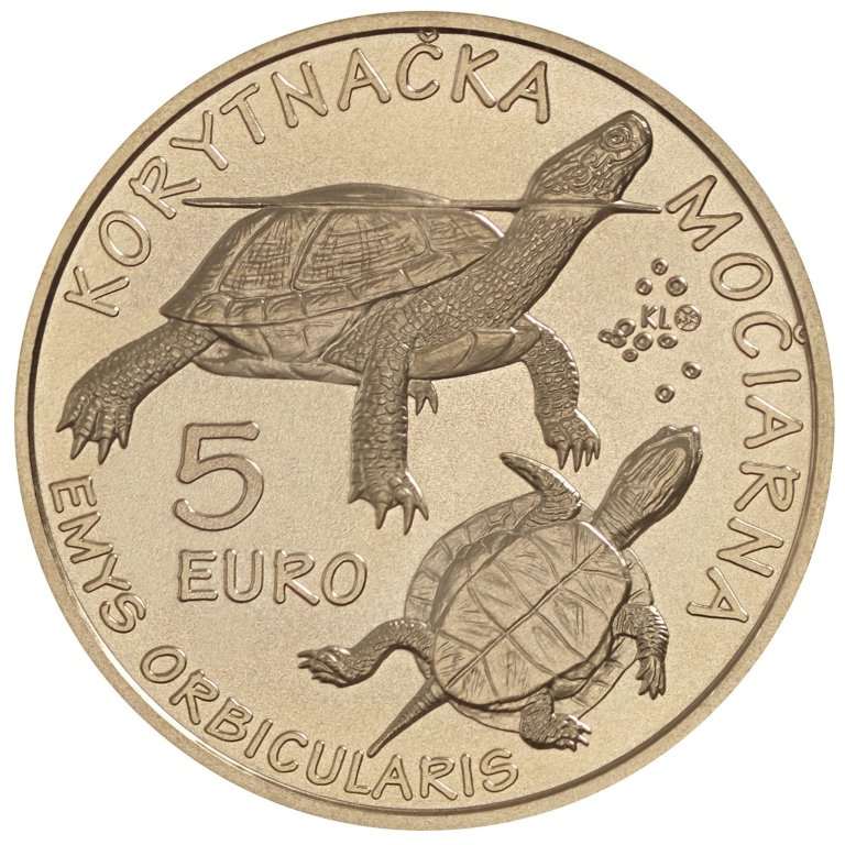 5 Eur 2026 - Turtle (2)